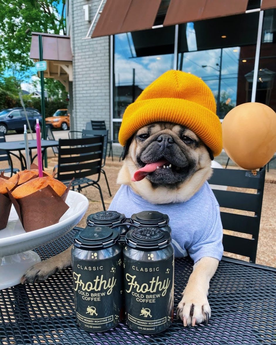We’re teaming up with Doug the Pug to promote his new Foundation!