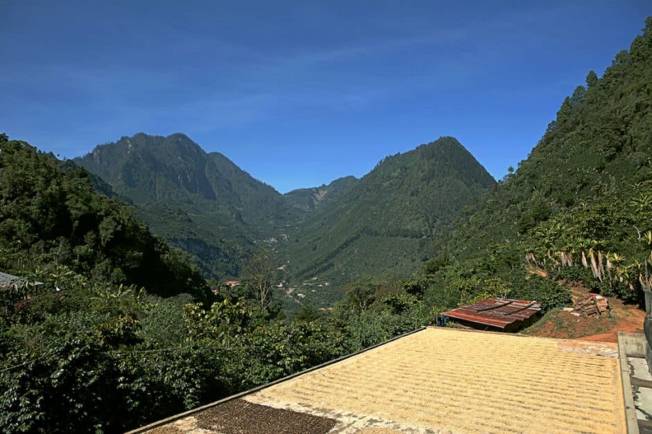 Boissons fraîches - Ma Boutik Riom Limagne et Volcans