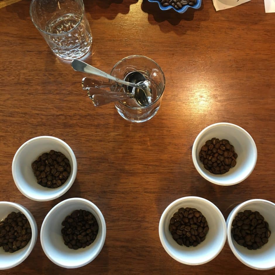 Weekly Public Coffee Cuppings at Frothy Monkey Roasting Co