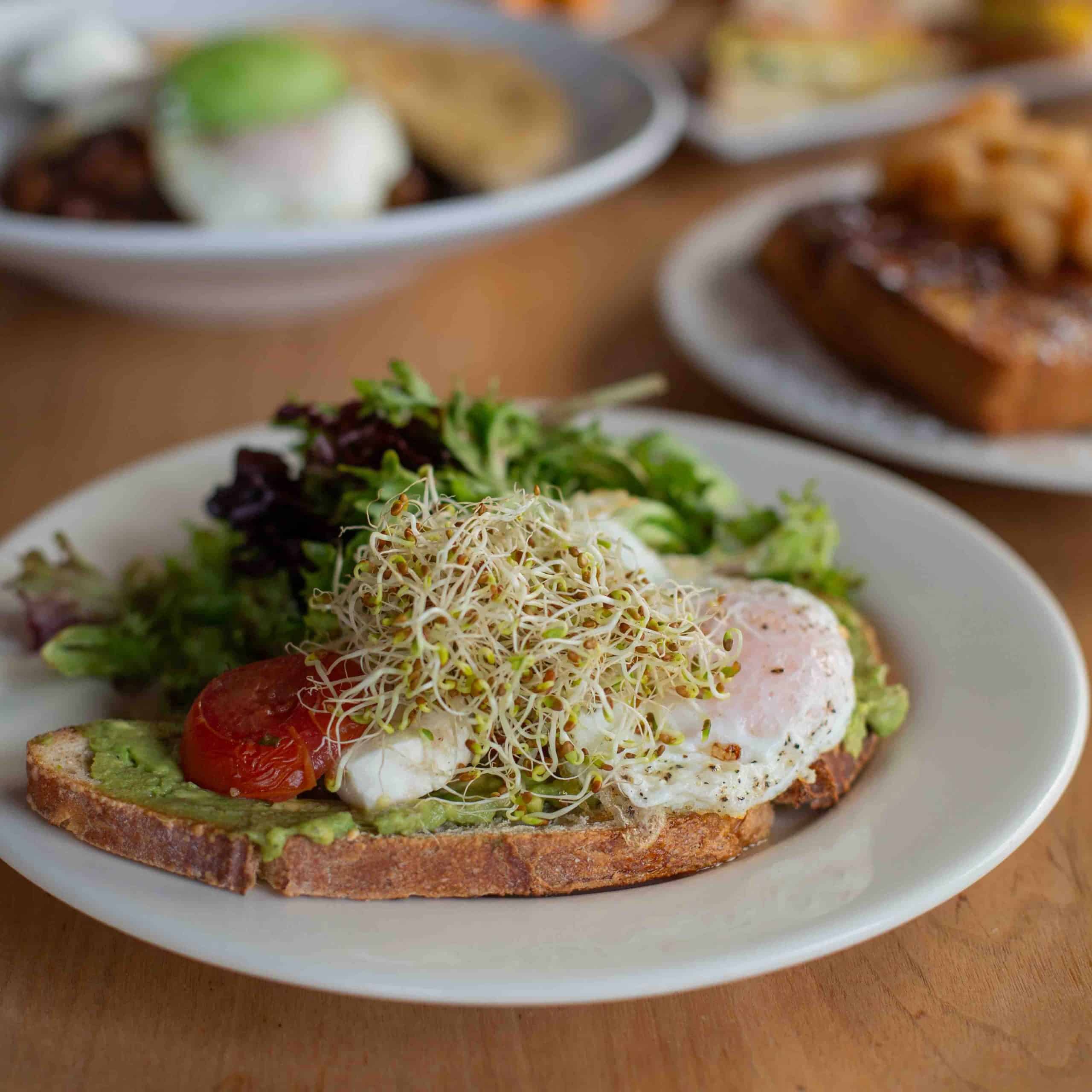 toast on a plate with eggs and bean sprouts for spring menu update
